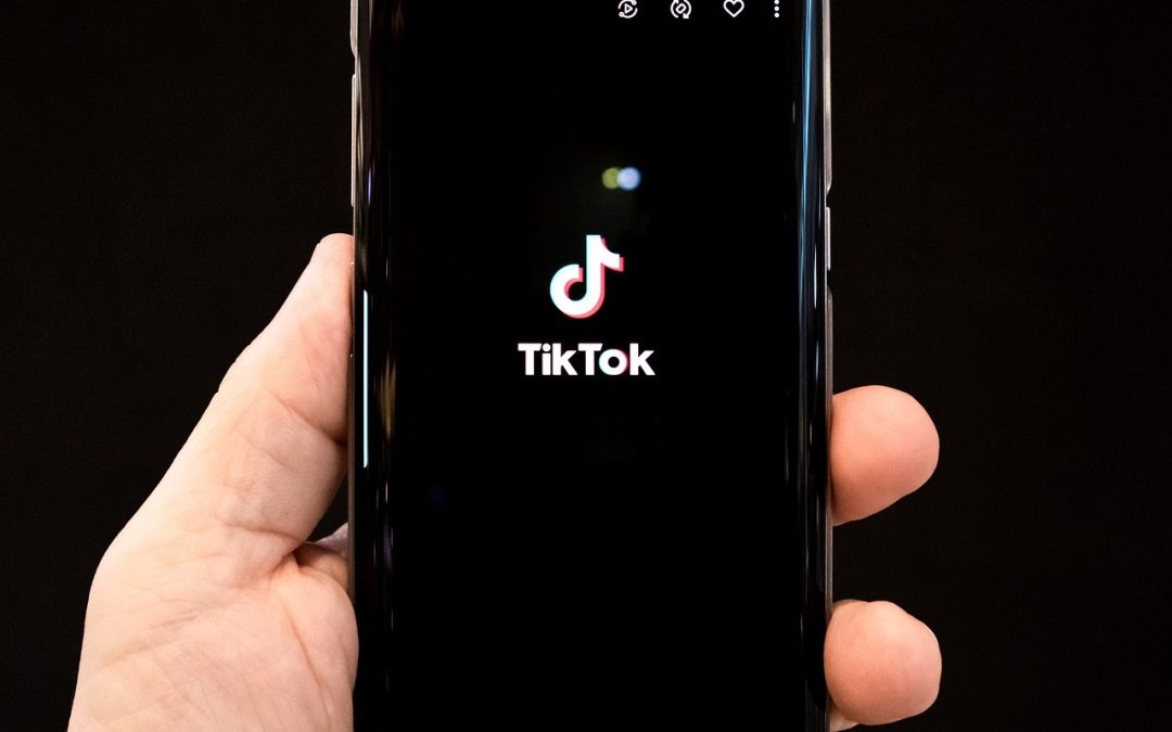 Comment voir combien d’abonnés sur TikTok ?