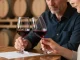 Degustation oenologie : la méthode simple pour ne plus choisir au hasard